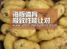 产品展示标题6