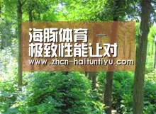 种植基地九