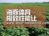 种植基地五(图1)