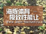 种植基地八(图1)