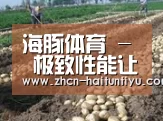 种植基地七(图1)