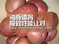 产品展示标题1
